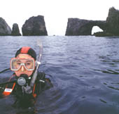 Diver