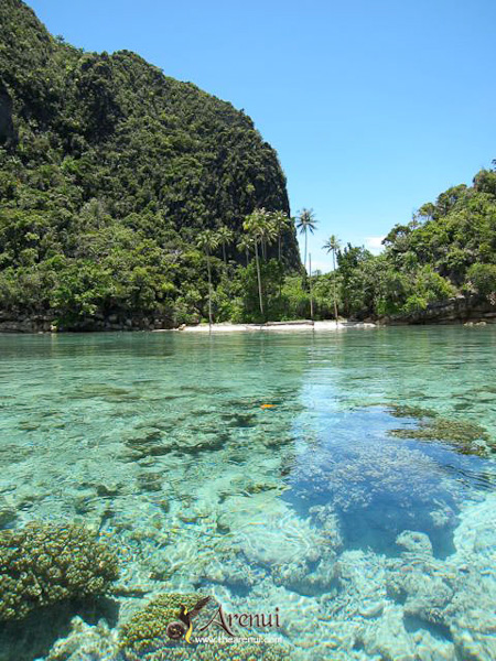 arenui