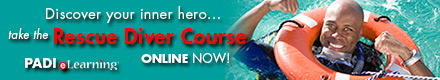 PADI eLearning Rescue Online Course