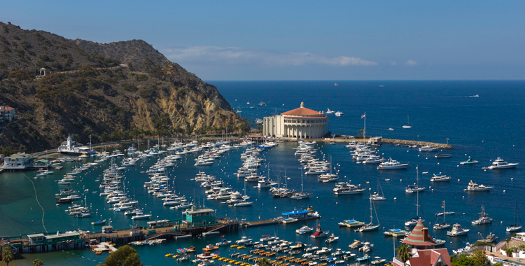 Catalina Island Diving