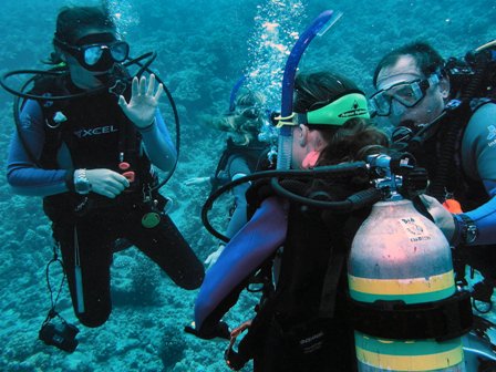 latest scuba diving news