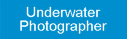 Course Director