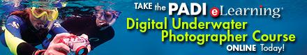 PADI eLearning Digital Photography Anytime Anywhere