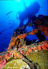 florida scuba diving trip