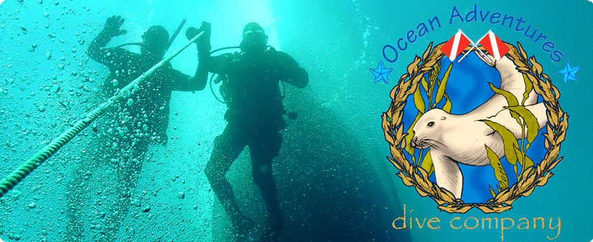 Ocean Adventures Dive Co. Your Scuba Diving Professional