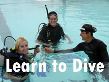 learn to scuba dive