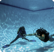 PADI open water diver certification course ocean adventures
