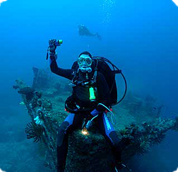 PADI specialty course ocean adventures