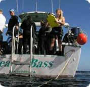 divemaster padi pro ocean adventures dive company