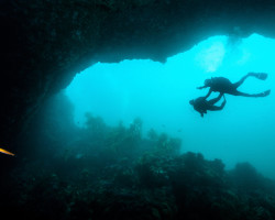 scuba diving course southern california