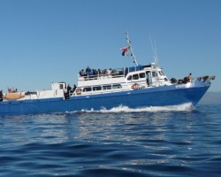 Spectre Scuba Dive Trip