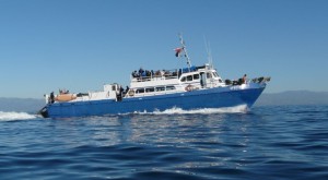 Spectre Scuba Dive Trip