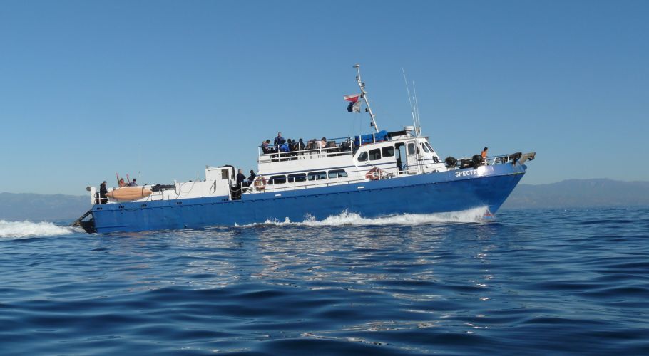 Spectre Scuba Dive Trip