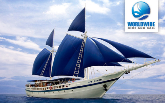 dive trip to philippine-siren-boat dive trip to philippine-siren-boat